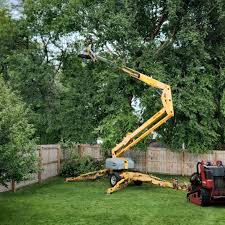 Best Landscape Design and Installation  in Mayfield, KY