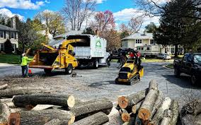 Best Lawn Mowing  in Mayfield, KY