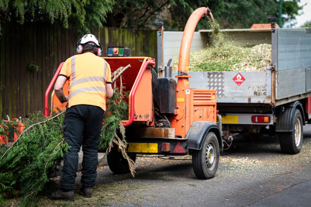 Best Tree Trimming and Pruning  in Mayfield, KY