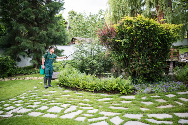 Mulching Services in Mayfield, KY