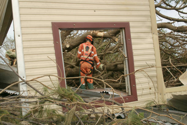 Best Seasonal Cleanup (Spring/Fall)  in Mayfield, KY